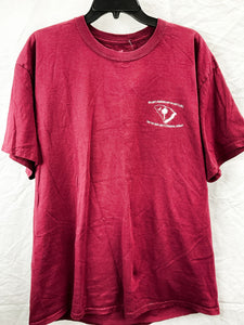 Size XL Hanes Gamecocks Tee