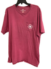 Load image into Gallery viewer, Size L Southern Tide "Gamecocks" Tee
