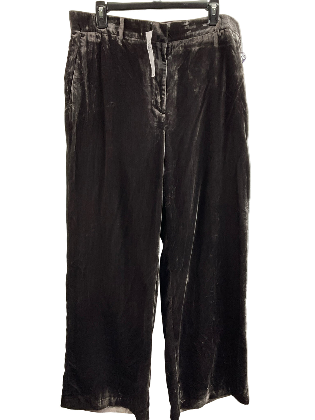 NWTS Size 14 Ann Taylor Velvet Pants